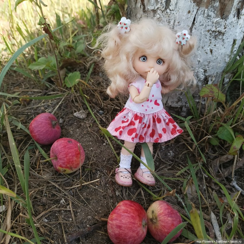 Летний сад, цветы и Джесси