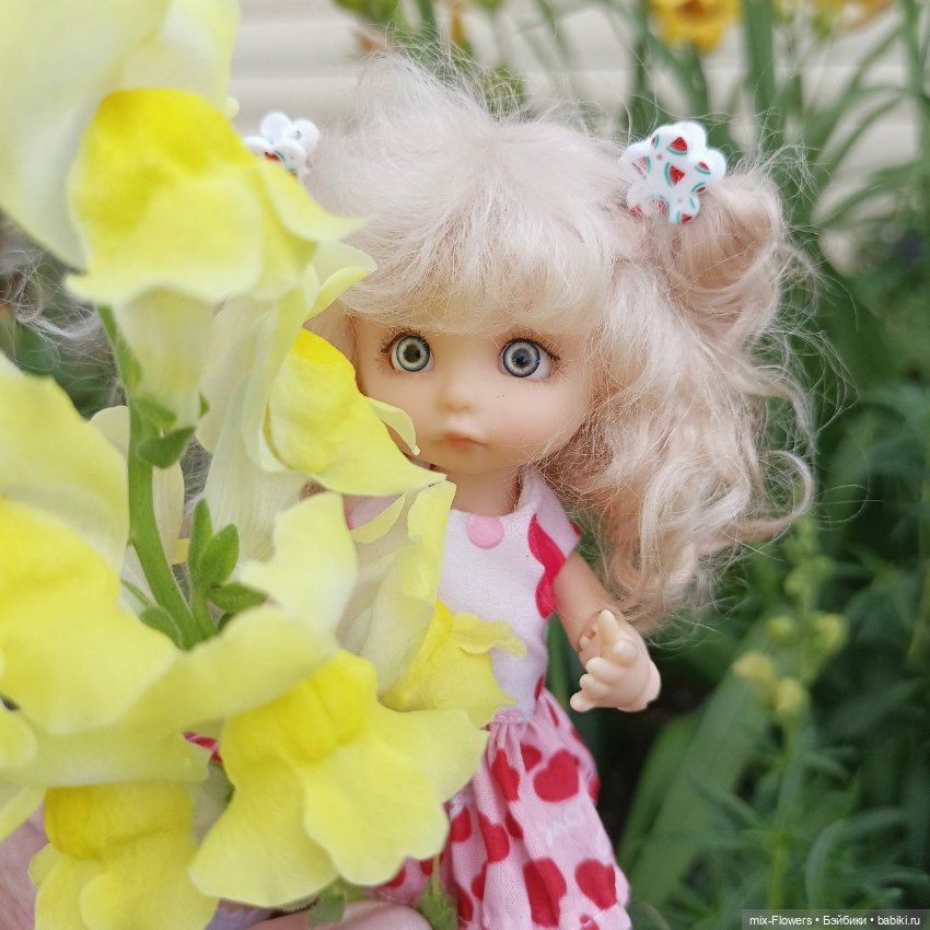 Летний сад, цветы и Джесси (фото 10)