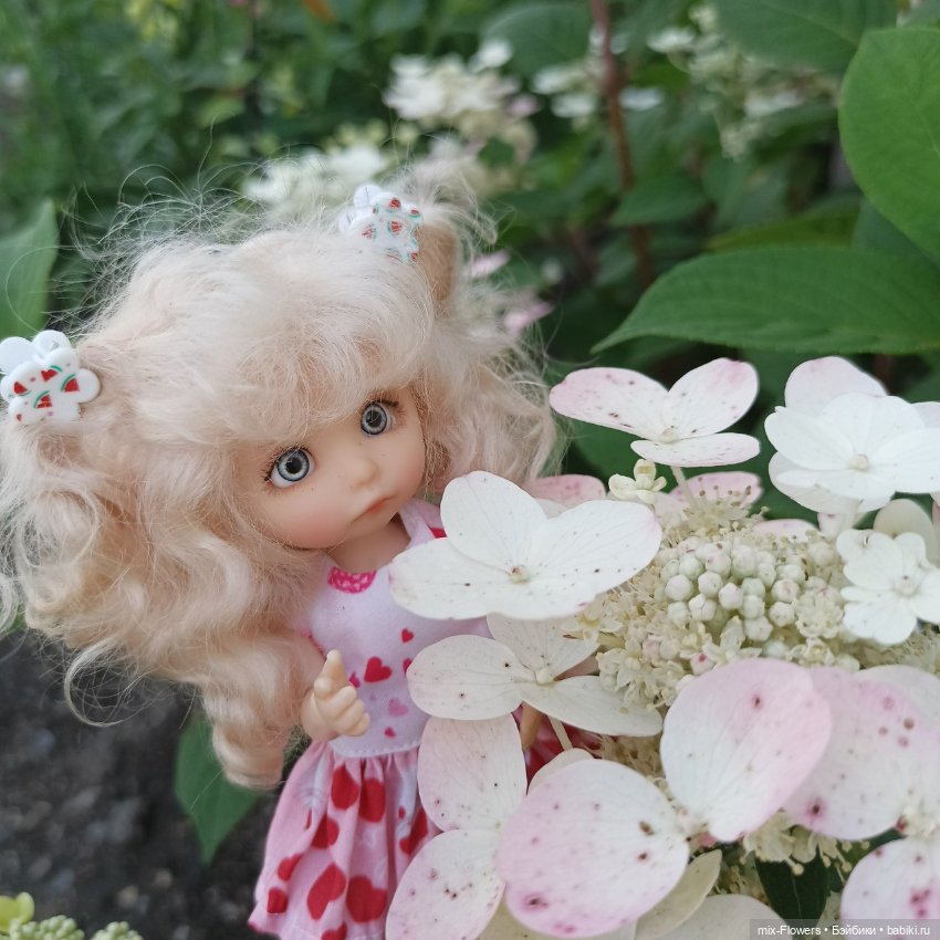 Летний сад, цветы и Джесси