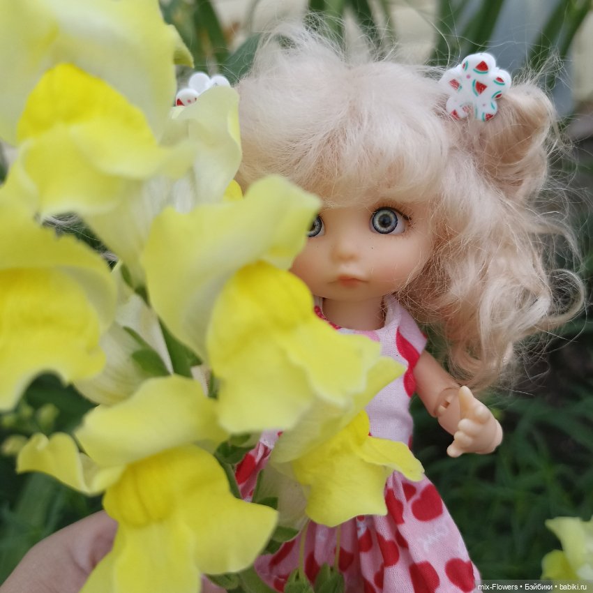 Летний сад, цветы и Джесси