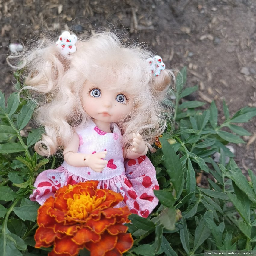 Летний сад, цветы и Джесси (фото 4)