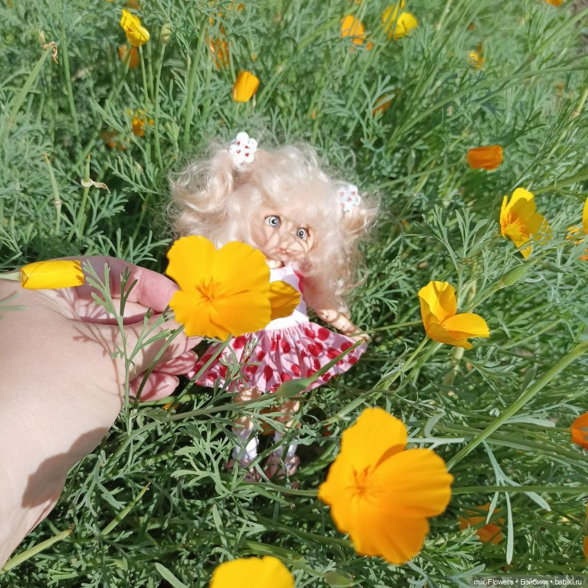 Летний сад, цветы и Джесси