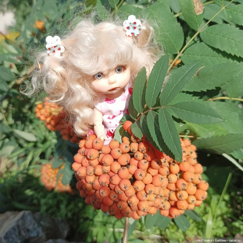 Летний сад, цветы и Джесси