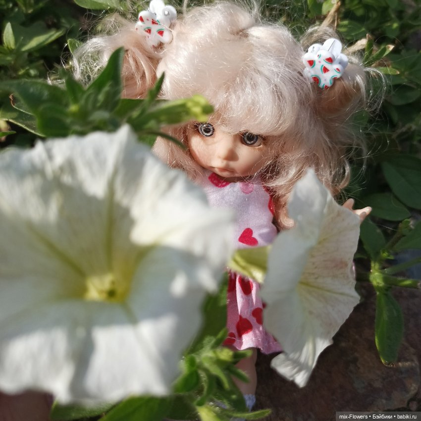 Летний сад, цветы и Джесси (фото 3)