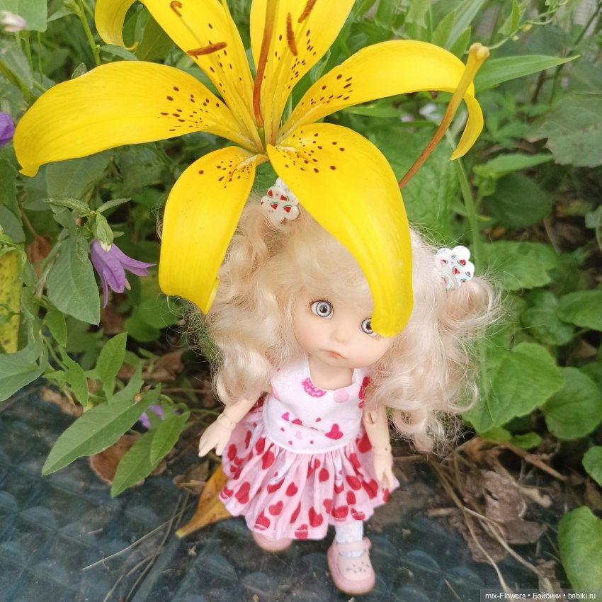 Летний сад, цветы и Джесси