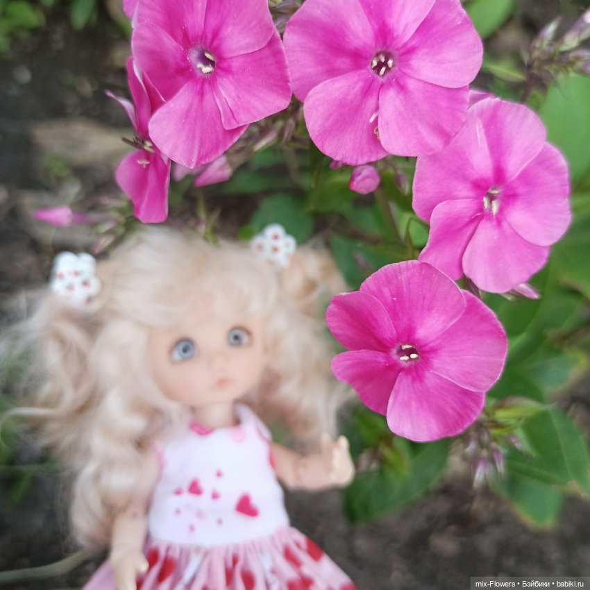 Летний сад, цветы и Джесси (фото 7)