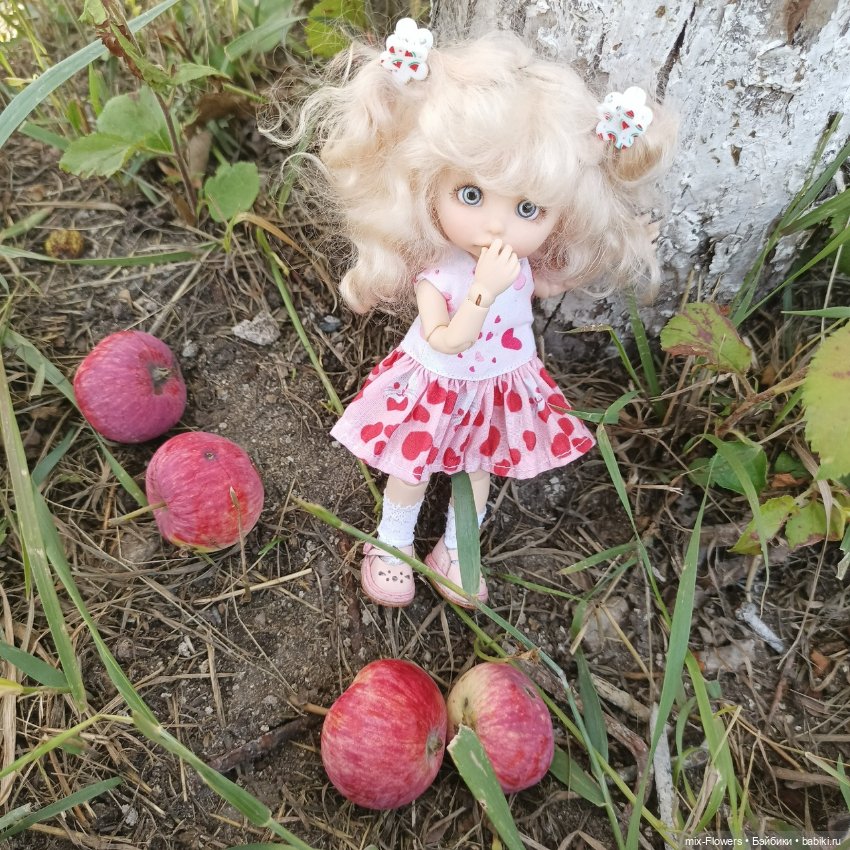 Летний сад, цветы и Джесси