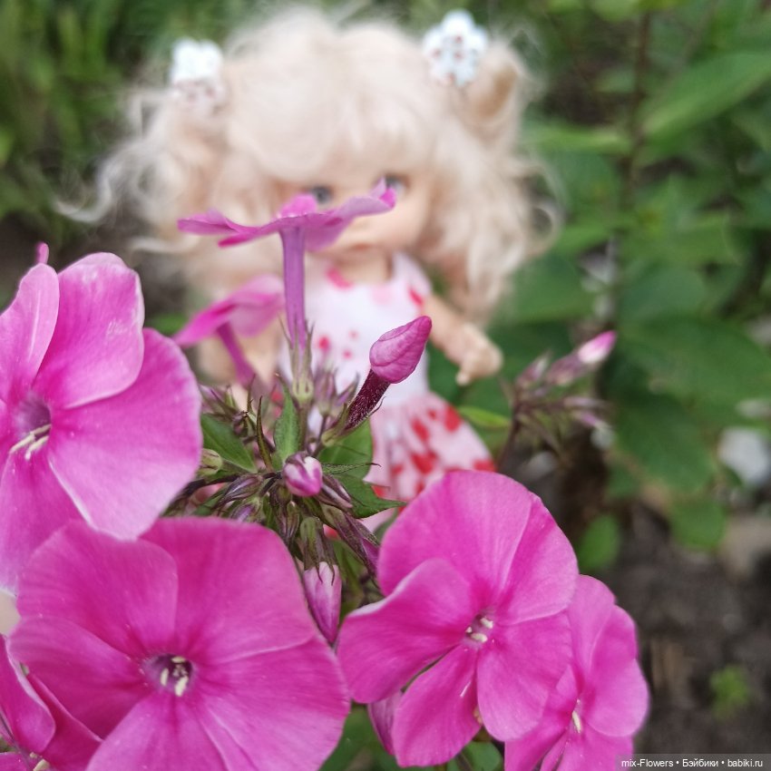 Летний сад, цветы и Джесси