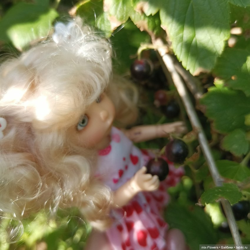 Летний сад, цветы и Джесси