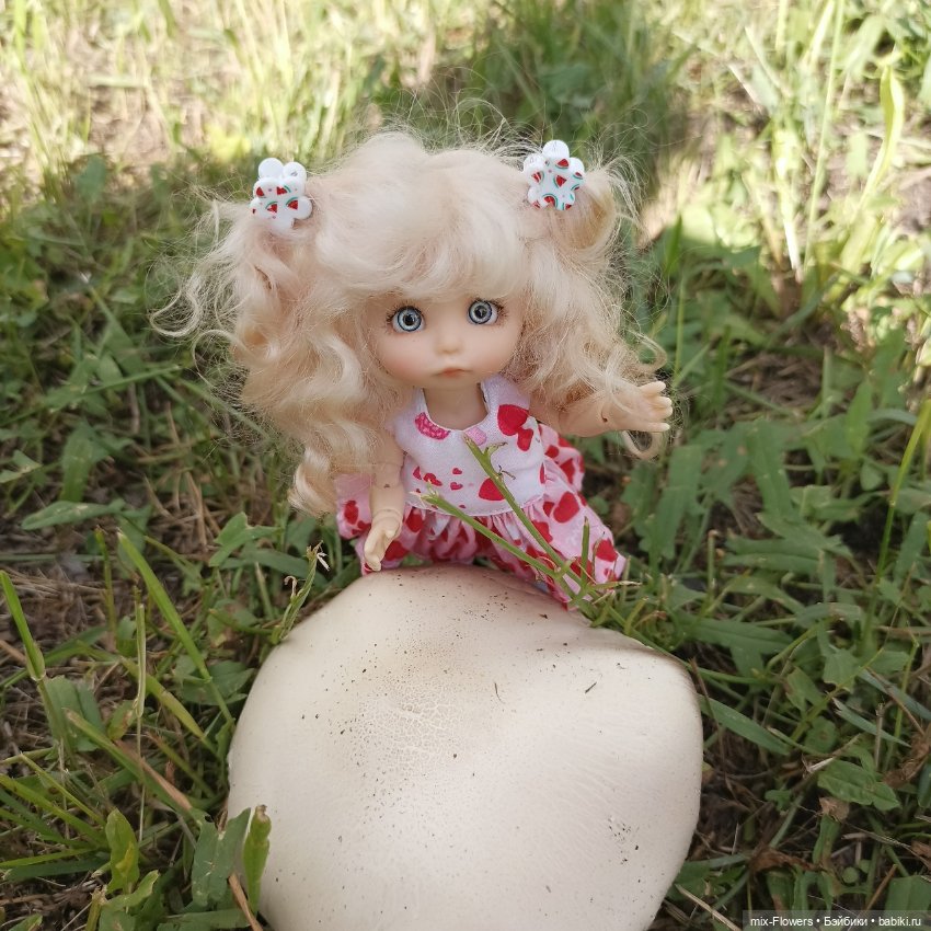 Летний сад, цветы и Джесси