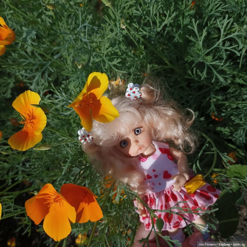 Летний сад, цветы и Джесси