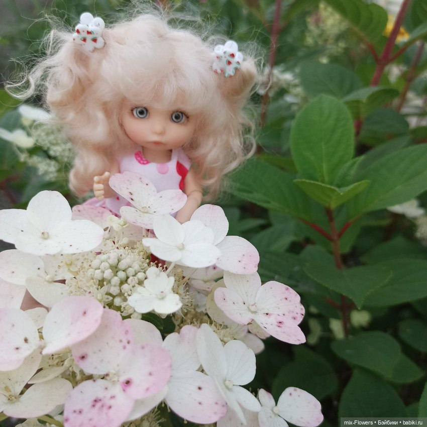 Летний сад, цветы и Джесси