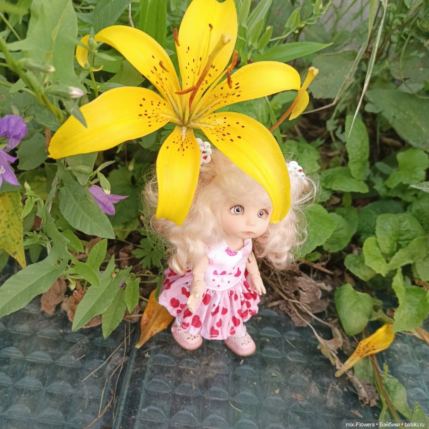 Летний сад, цветы и Джесси