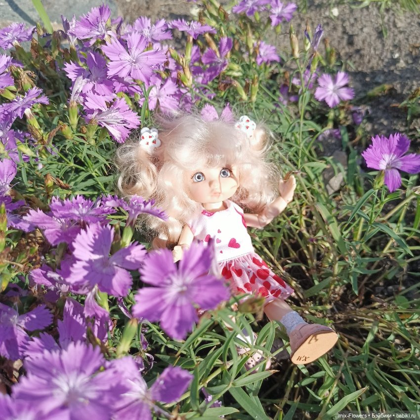 Летний сад, цветы и Джесси