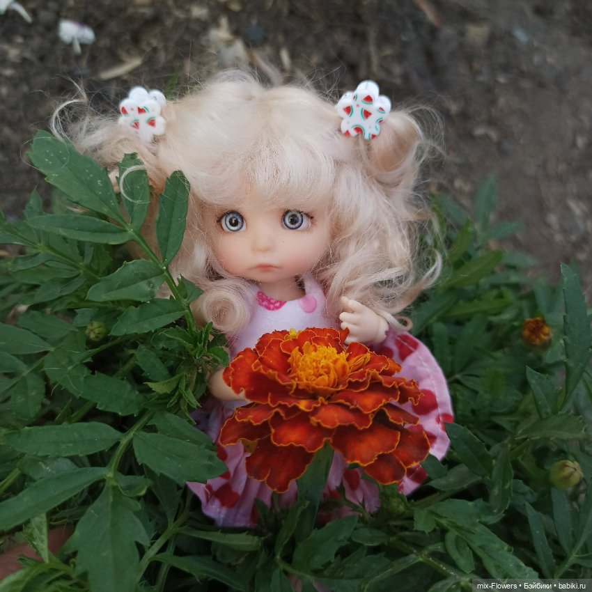 Летний сад, цветы и Джесси