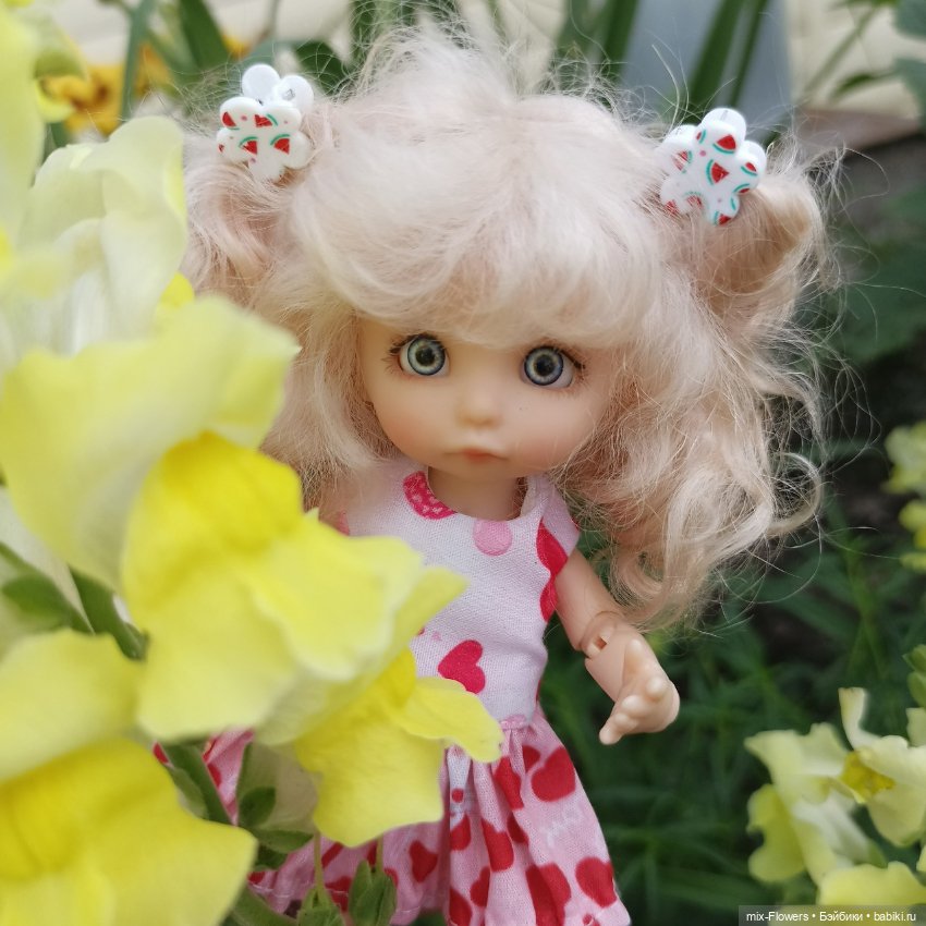 Летний сад, цветы и Джесси