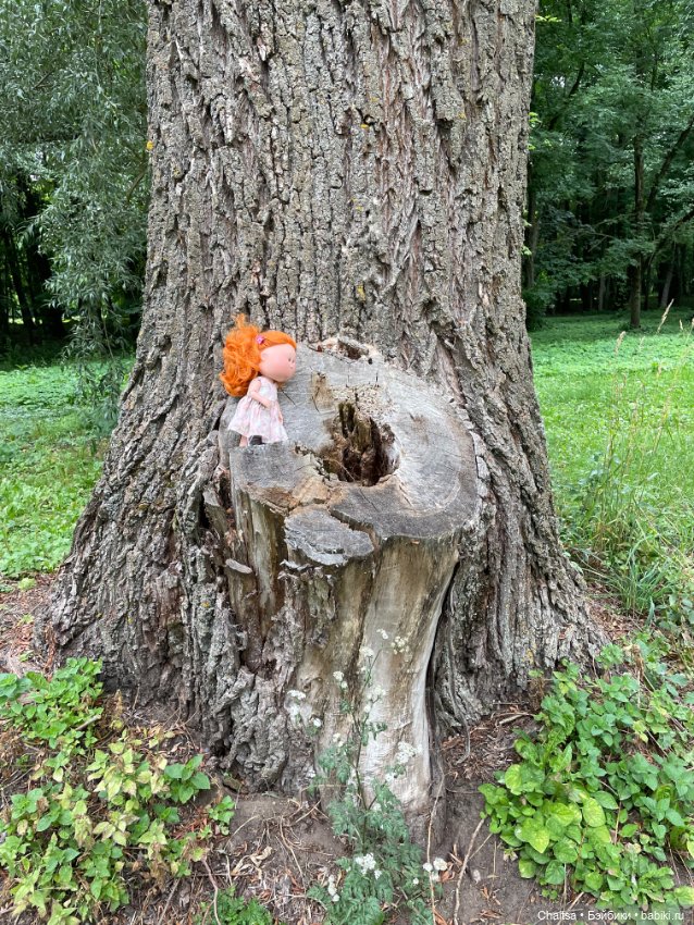 Моя первая шарнирная булочка Мия (Анфиса) (фото 6)