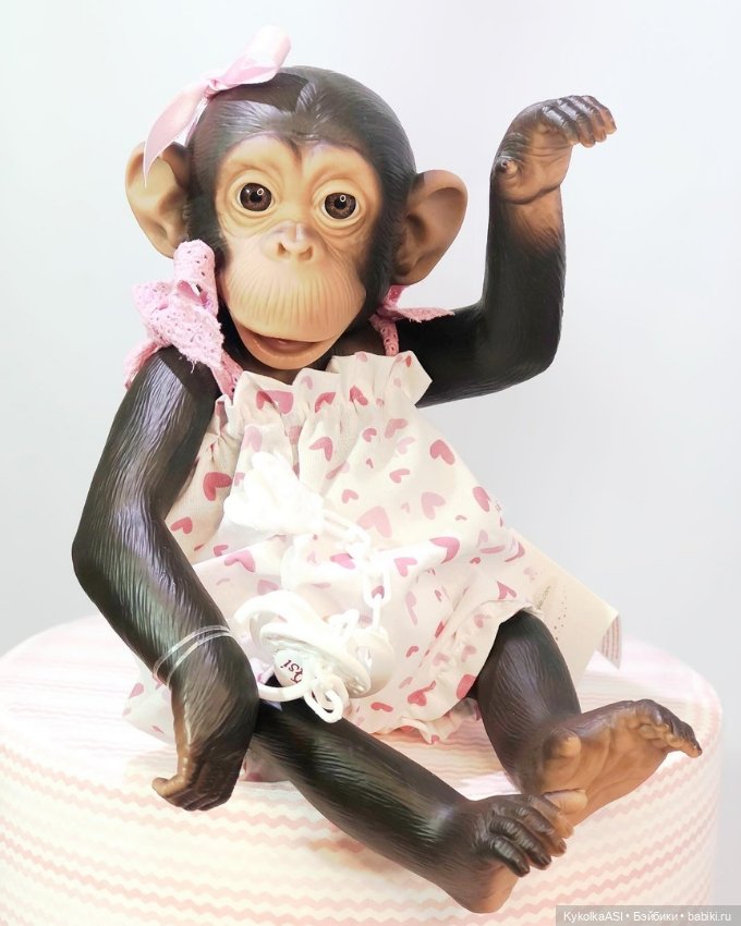 Новинки ASI, коллекция 2023 (фото 2)