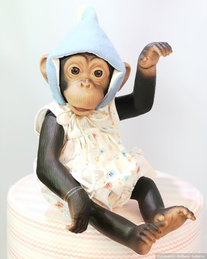 Новинки ASI, коллекция 2023