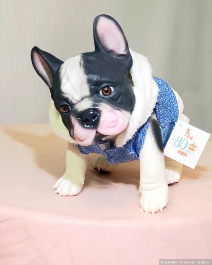 Новинки ASI, коллекция 2023 (фото 4)