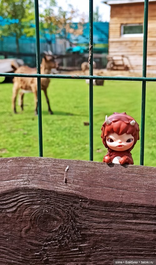 Миша. Рогатая история — Фигурки Pop Mart (Поп Март): Blind Box (фото 7)