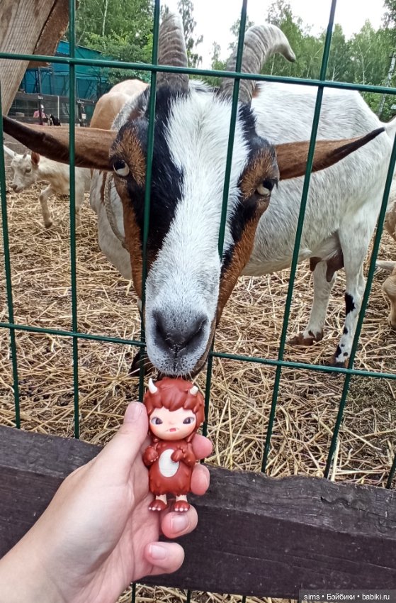 Миша. Рогатая история — Фигурки Pop Mart (Поп Март): Blind Box