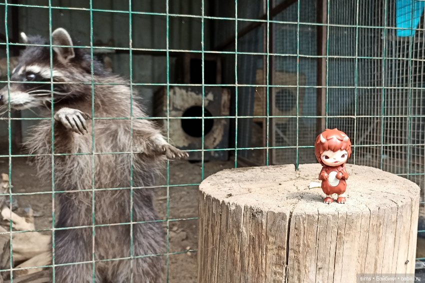 Миша. Рогатая история — Фигурки Pop Mart (Поп Март): Blind Box (фото 5)