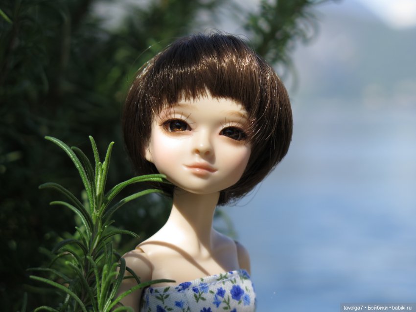 Двенадцать лет в кукло-хобби