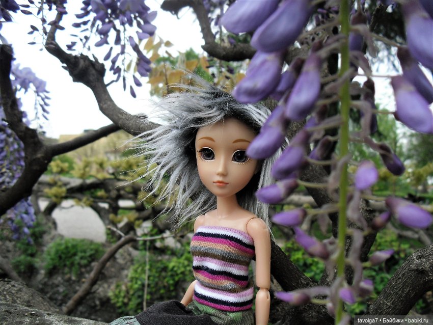 Двенадцать лет в кукло-хобби