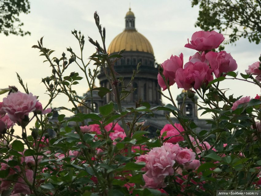 Любите ли вы Питер… — Туризм и путешествия: фотоотчеты из поездок (фото 2)