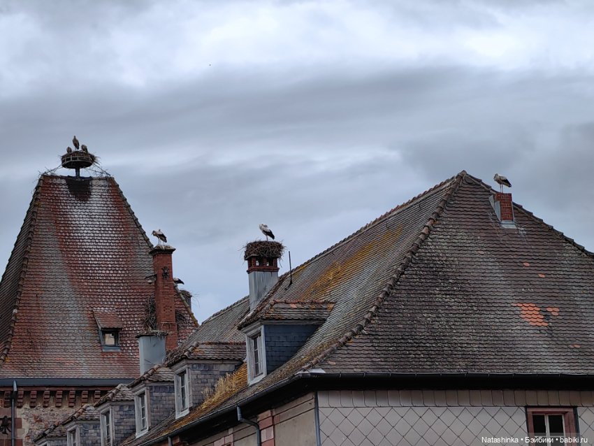 Fashion Dolls 531 — Туризм и путешествия: фотоотчеты из поездок