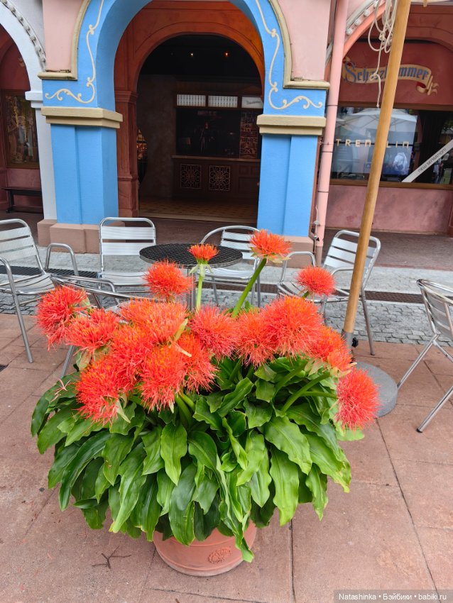 Fashion Dolls 531 — Туризм и путешествия: фотоотчеты из поездок (фото 10)