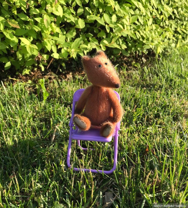 Когда лисенок на прогулке…