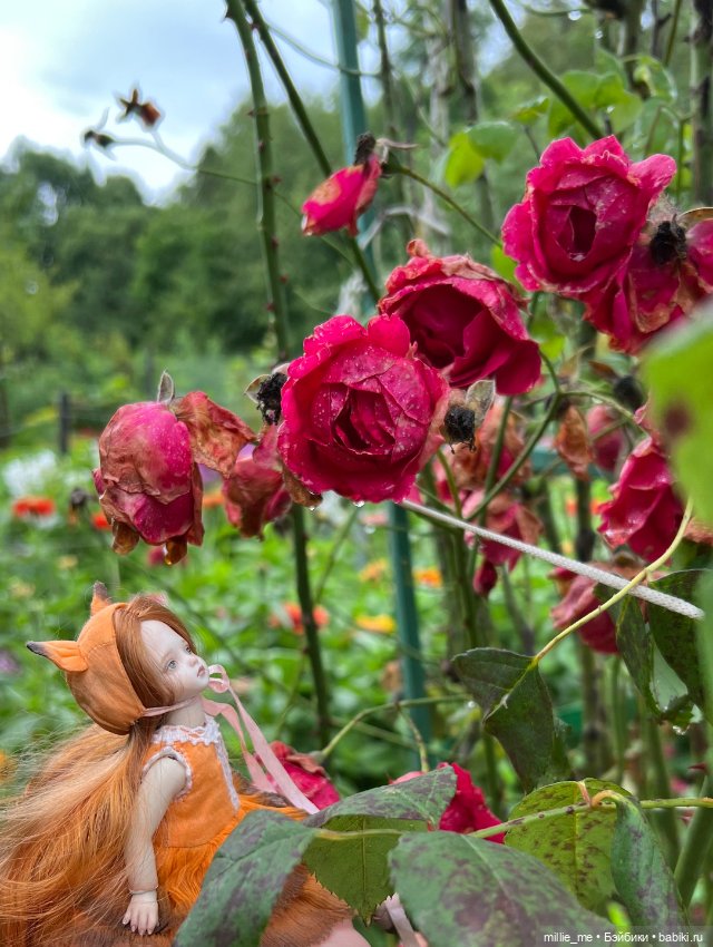 Сад после дождя и Веточка