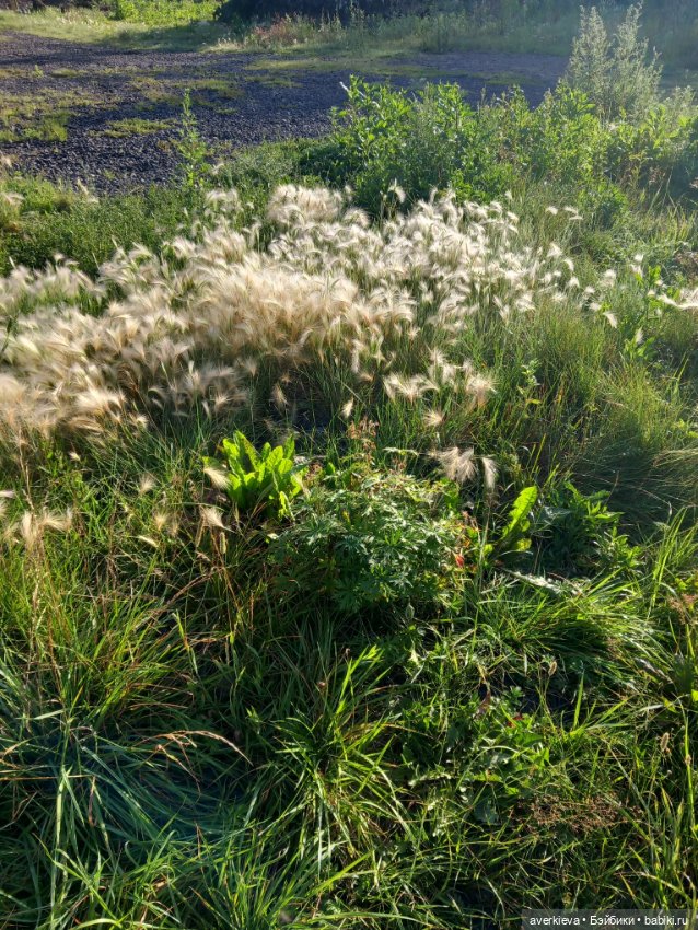 Лесотерапия — Винтажные куклы ГДР (Немки): Бигги (фото 3)