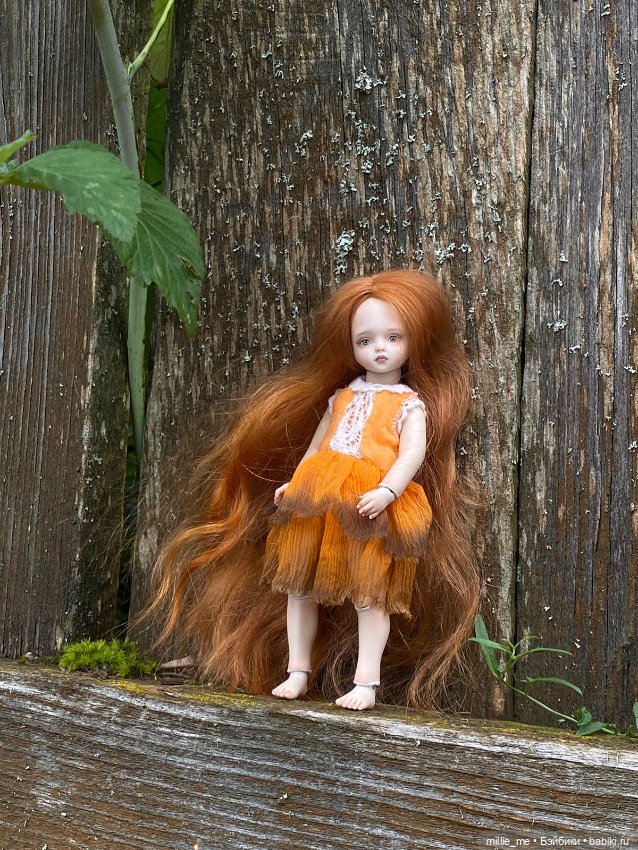 Сад после дождя и Веточка