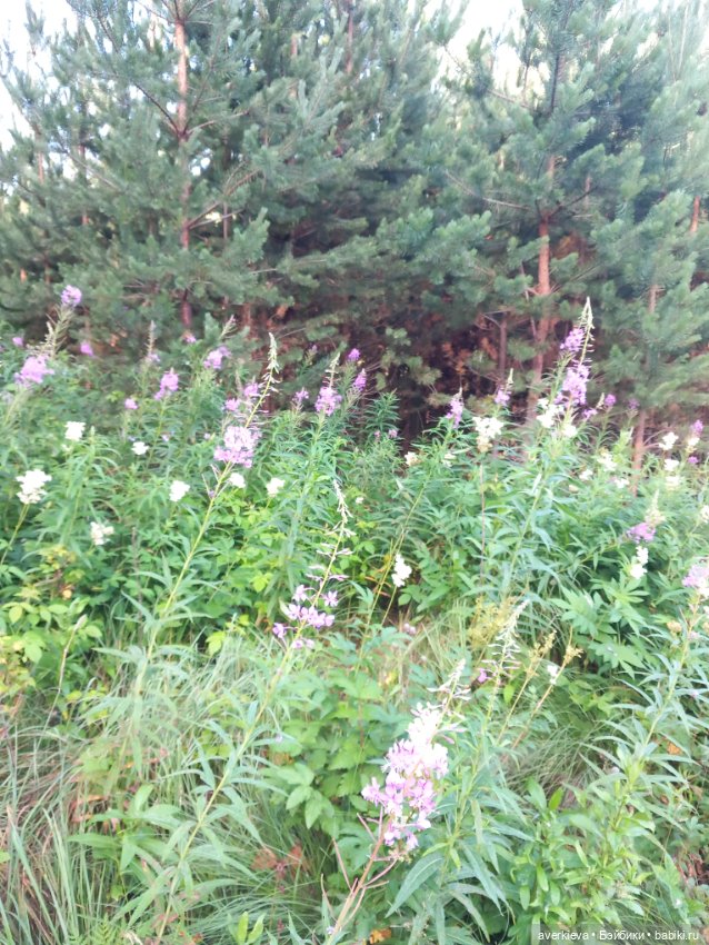 Лесотерапия — Винтажные куклы ГДР (Немки): Бигги (фото 7)