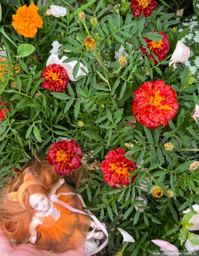 Сад после дождя и Веточка