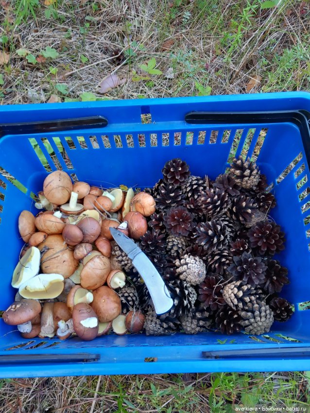 Лесотерапия — Винтажные куклы ГДР (Немки): Бигги