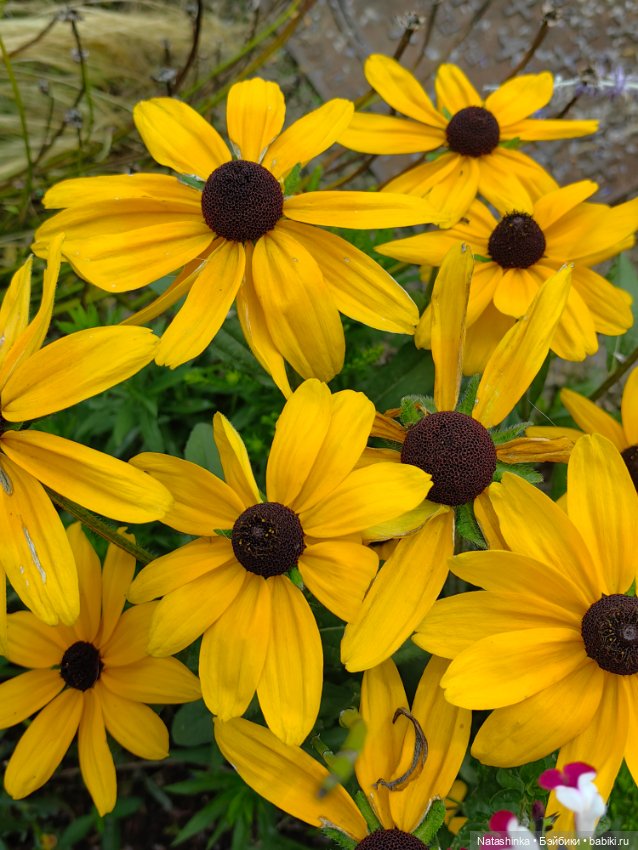 Fashion Dolls 532 — Туризм и путешествия: фотоотчеты из поездок (фото 2)