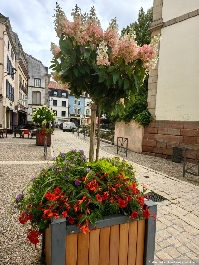 Fashion Dolls 532 — Туризм и путешествия: фотоотчеты из поездок