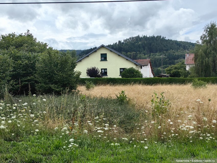 Fashion Dolls 532 — Туризм и путешествия: фотоотчеты из поездок