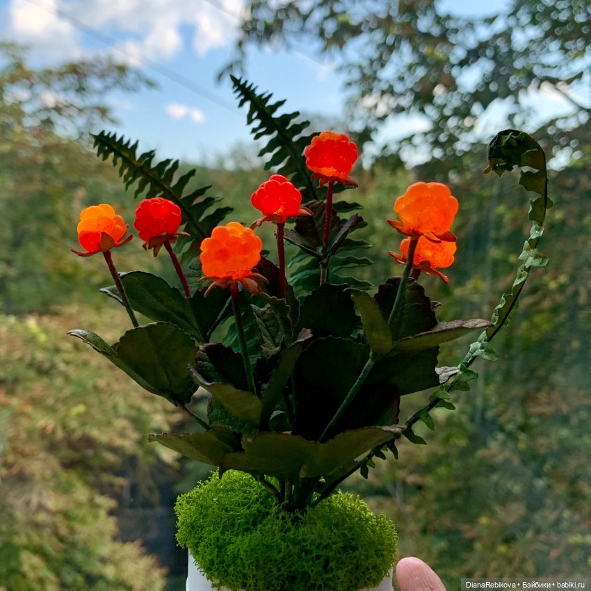 Новые северные солнышки созрели (фото 7)