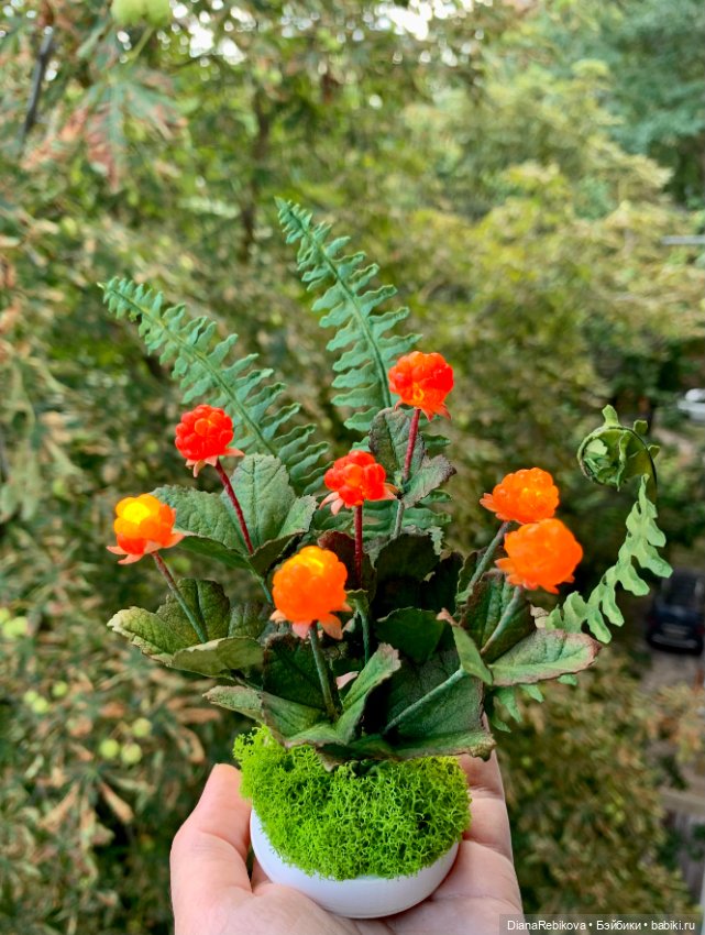 Новые северные солнышки созрели (фото 3)