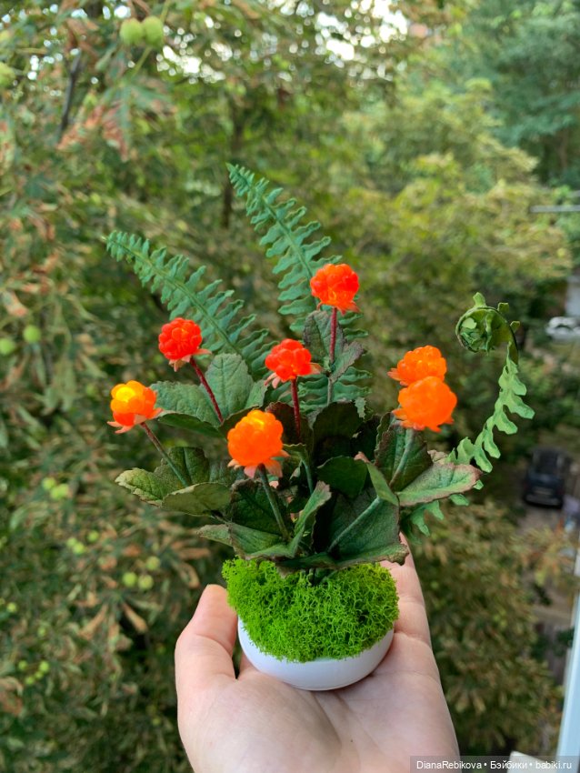 Новые северные солнышки созрели (фото 2)