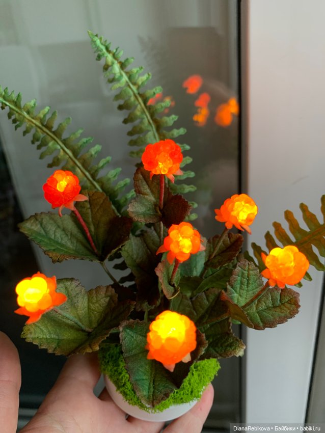 Новые северные солнышки созрели