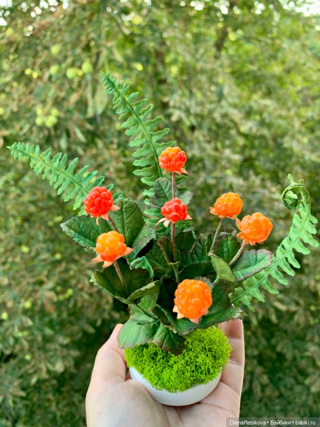 Новые северные солнышки созрели (фото 6)