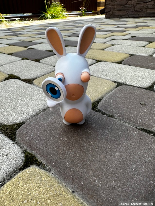 Кролики, это не только ценный мех (фото 6)