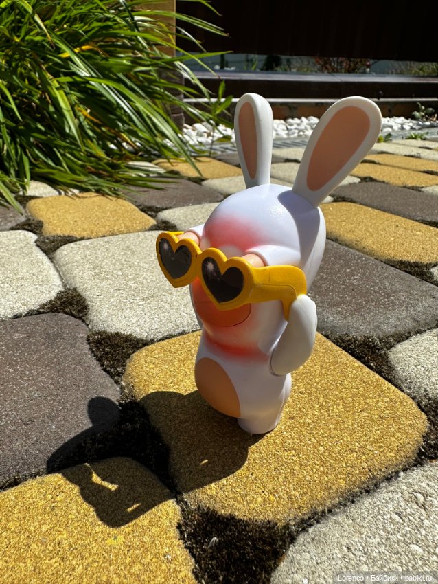 Кролики, это не только ценный мех (фото 4)