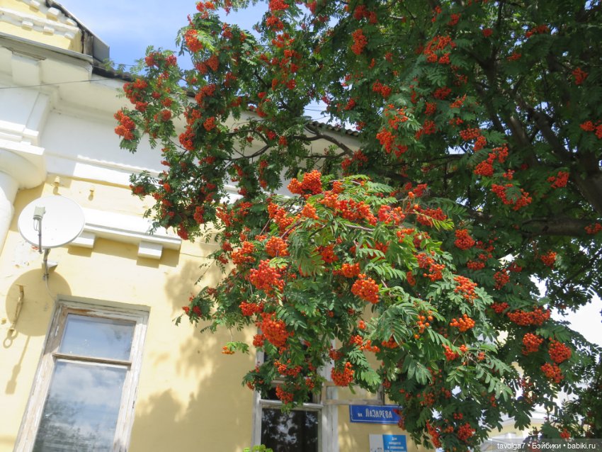 Trinity Doll Иветта в Коломне